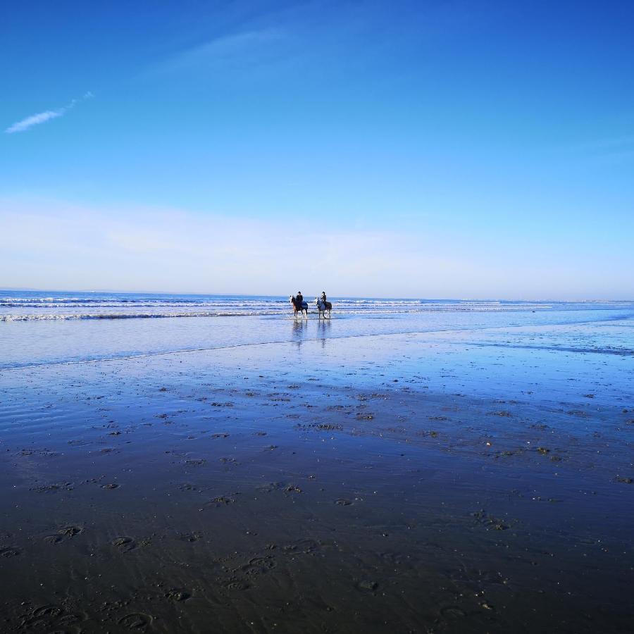 Апартаменты Hightide - Bracklesham Bay Чичестер Экстерьер фото